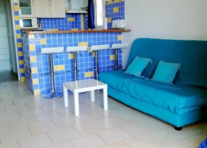 Marion 2 A 4 Pers Terrasse Vue 180 De Sable 300 M - Tarco * Конка