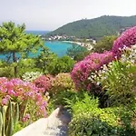 Apartment Marion 2 A 4 Pers Terrasse Vue 180 De Sable 300 M - Tarco *