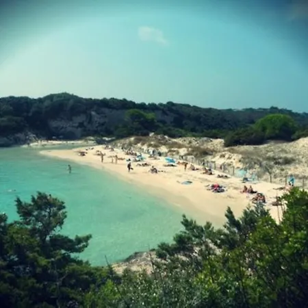 Appartement Marion 2 à 4 Pers Terrasse Vue 180 De Sable 300 M - Tarco Conca