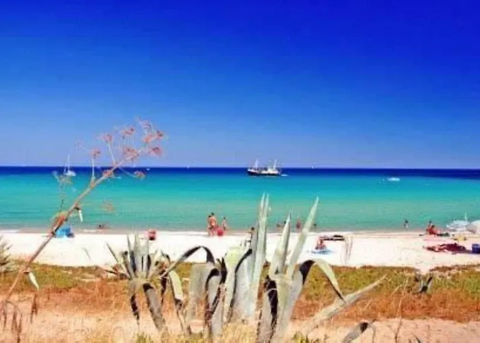 Marion 2 à 4 Pers Terrasse Vue 180 De Sable 300 M - Tarco Apartamento Conca
