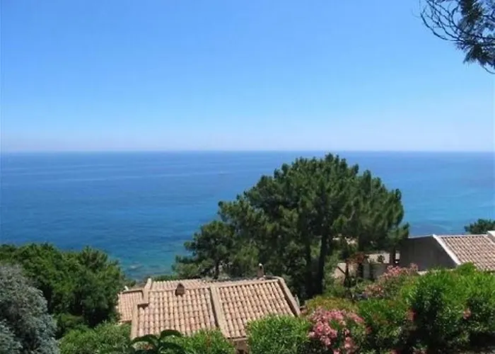 Marion 2 A 4 Pers Terrasse Vue 180 De Sable 300 M - Tarco *