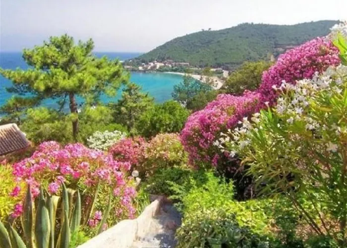 Apartamento Marion 2 à 4 Pers Terrasse Vue 180 De Sable 300 M - Tarco *